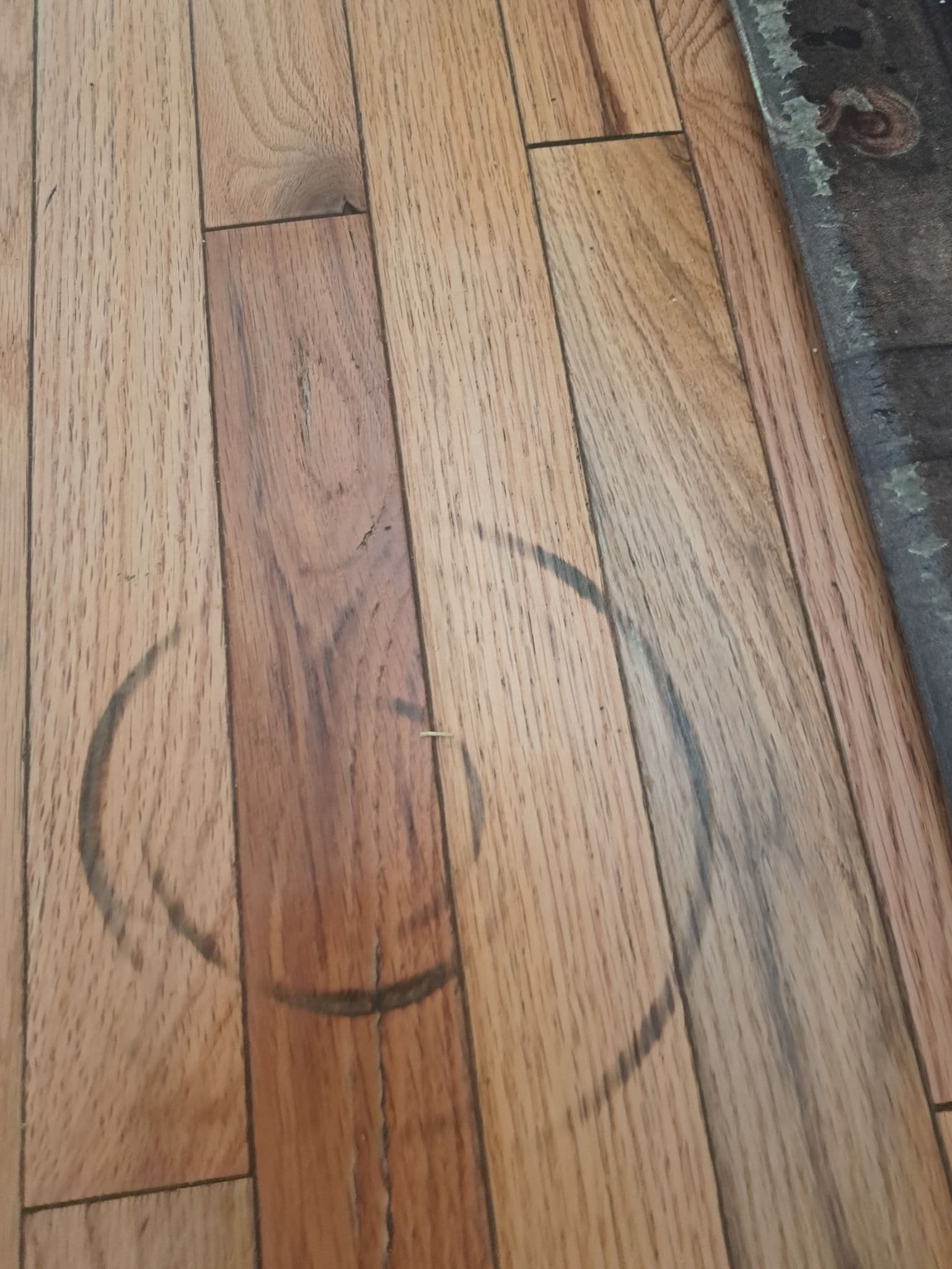 Gallery photos for Burn Mark to Board Replacement on a Salt Lake City Red Oak Floor: Image #2