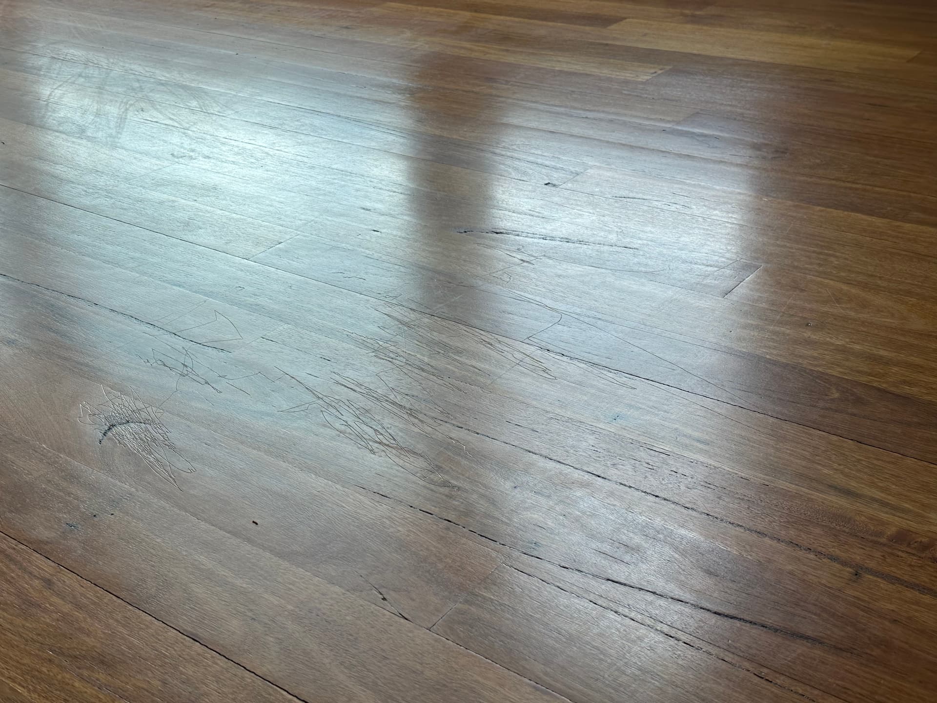 Gallery photos for Exotic Wood Floor Refinishing Underway in West Jordan: Image #1