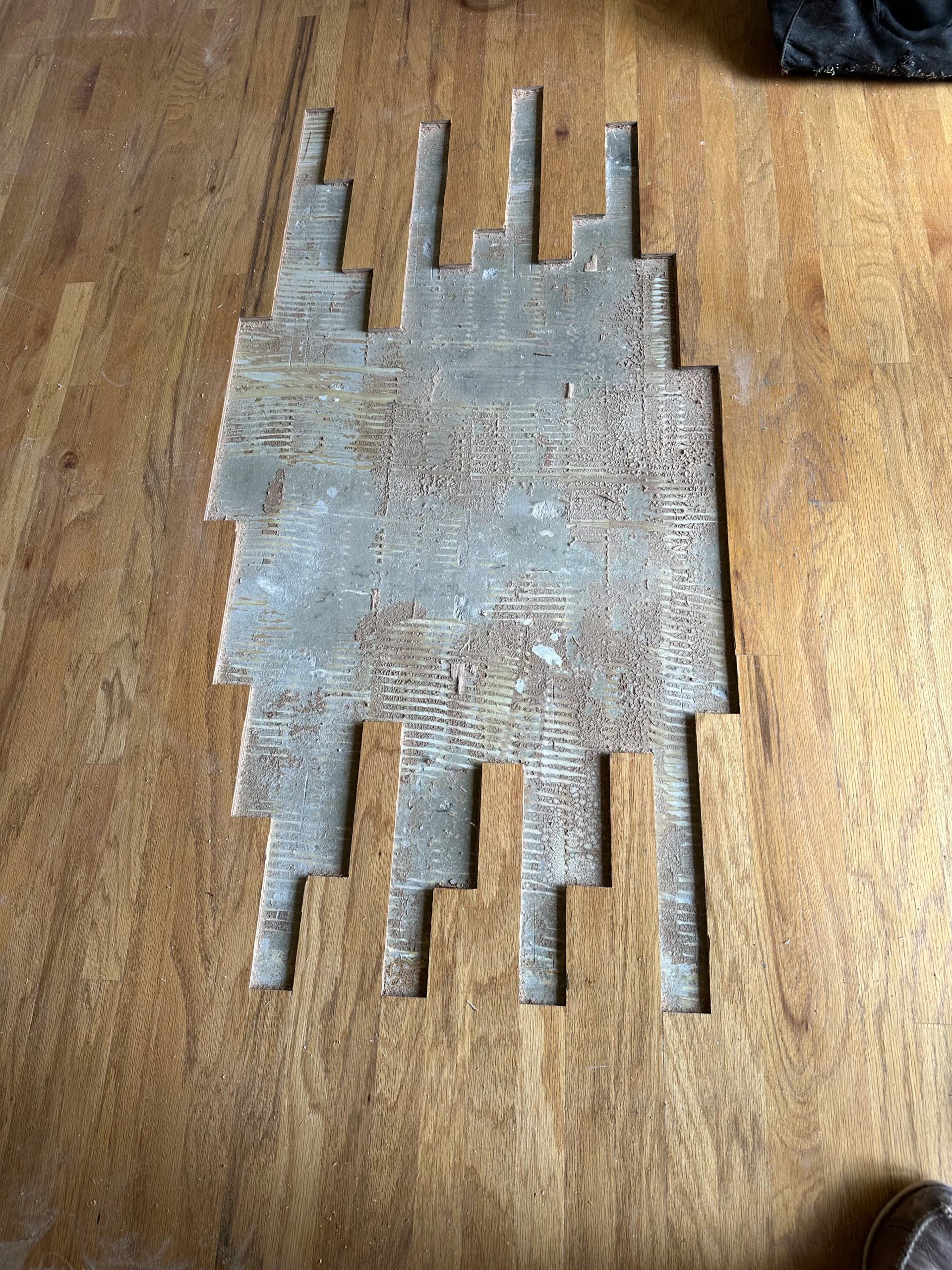 Gallery photos for Pet Stain Hardwood Floor Repair and Board Replacement in Cottonwood: Image #1