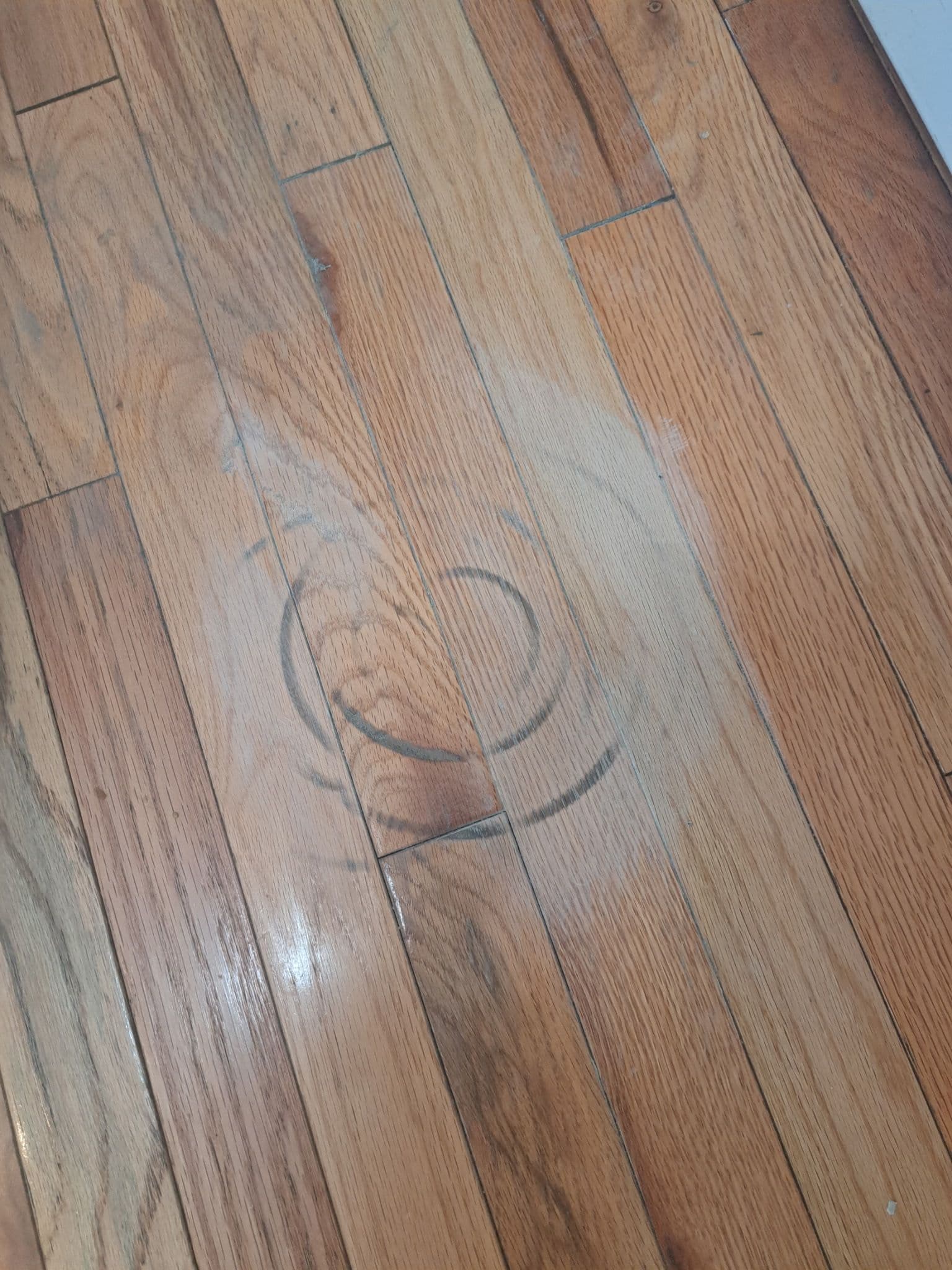 Gallery photos for Burn Mark to Board Replacement on a Salt Lake City Red Oak Floor: Image #1