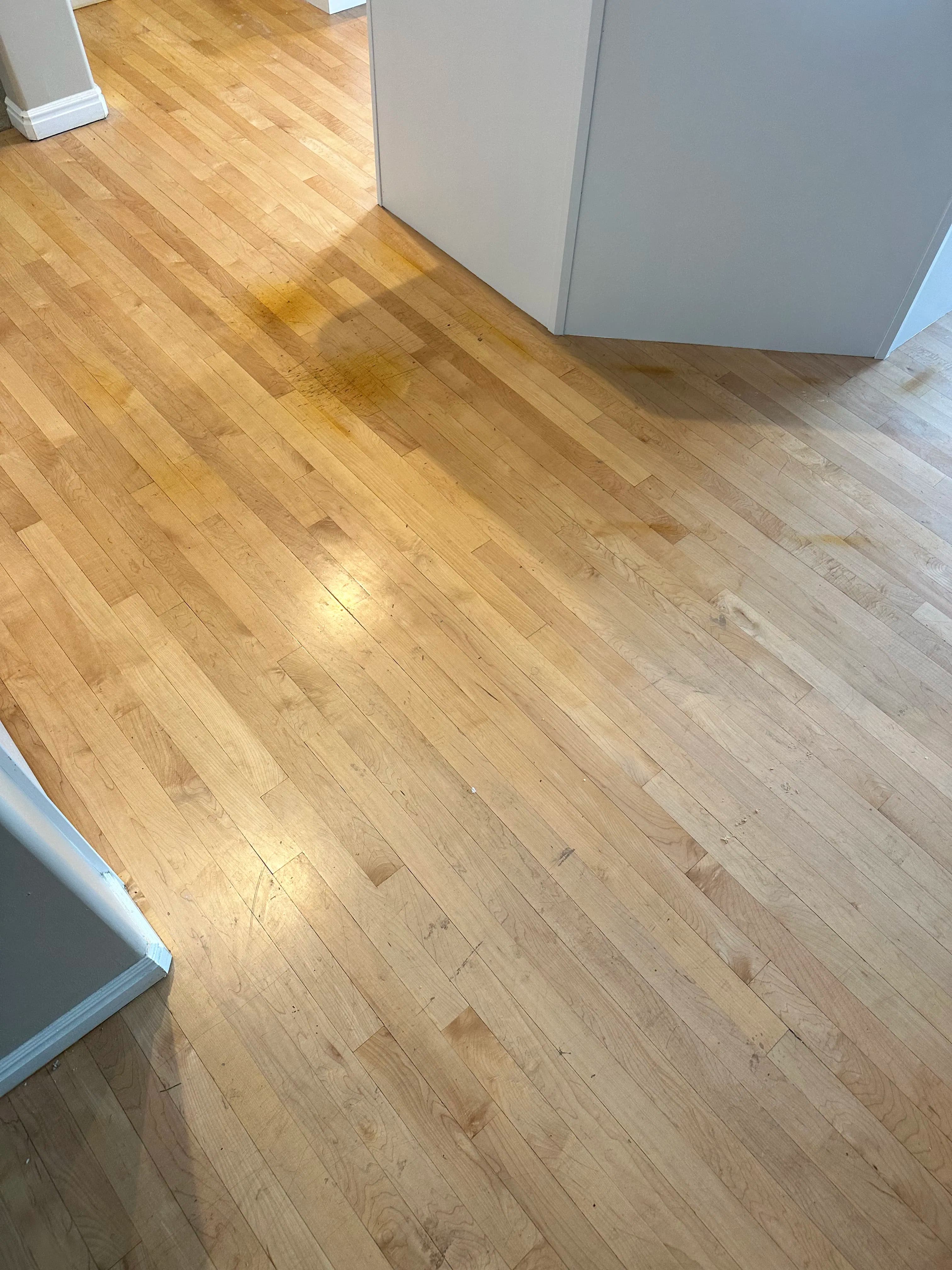 Project Scratched and Stained Maple Floors Getting a Fresh Start image
