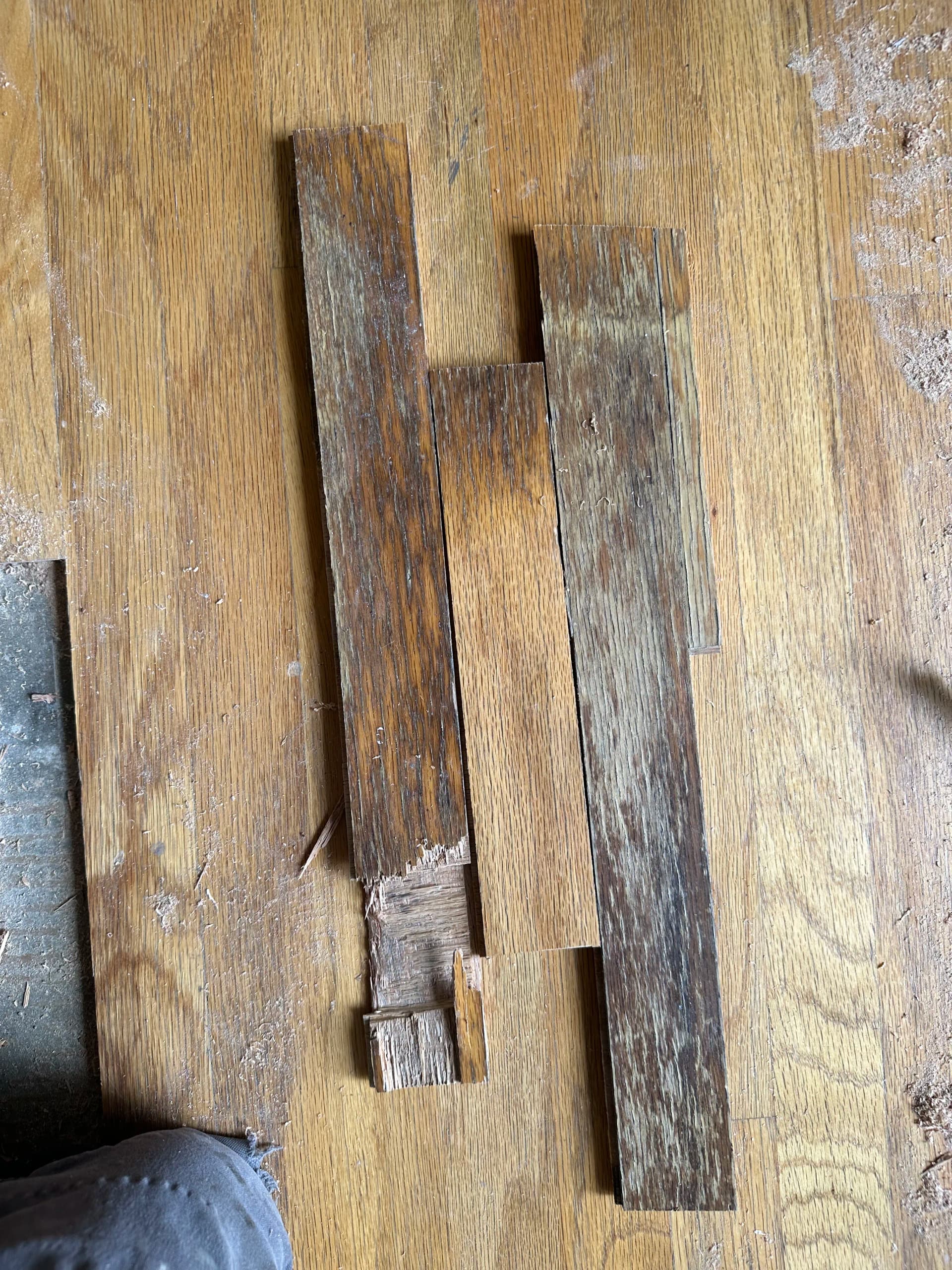 Pet Stain Hardwood Floor Repair and Board Replacement in Cottonwood image
