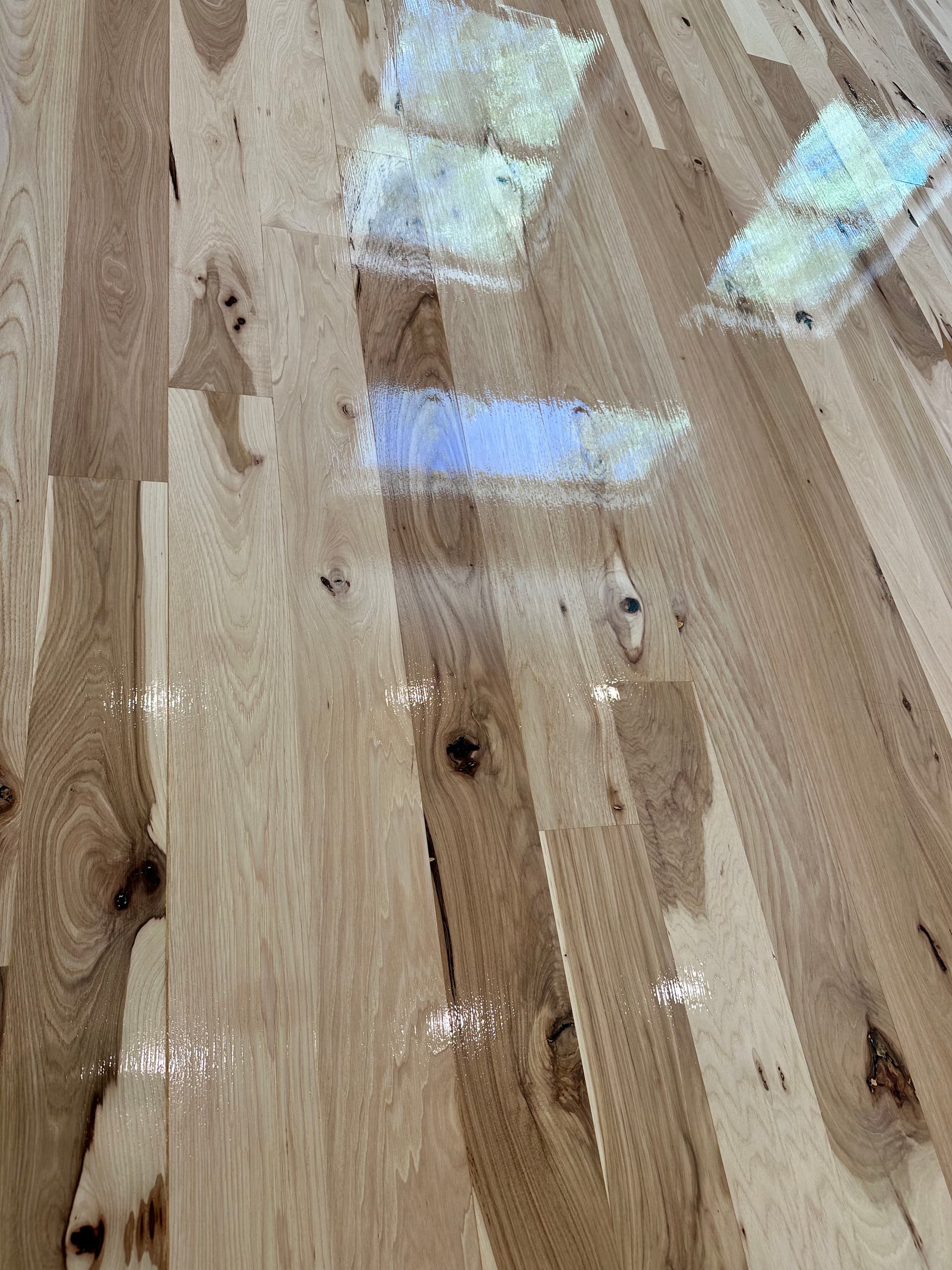 Gallery photos for Trowel-Fill and Finish Work on a Park City Wood Floor: Image #1