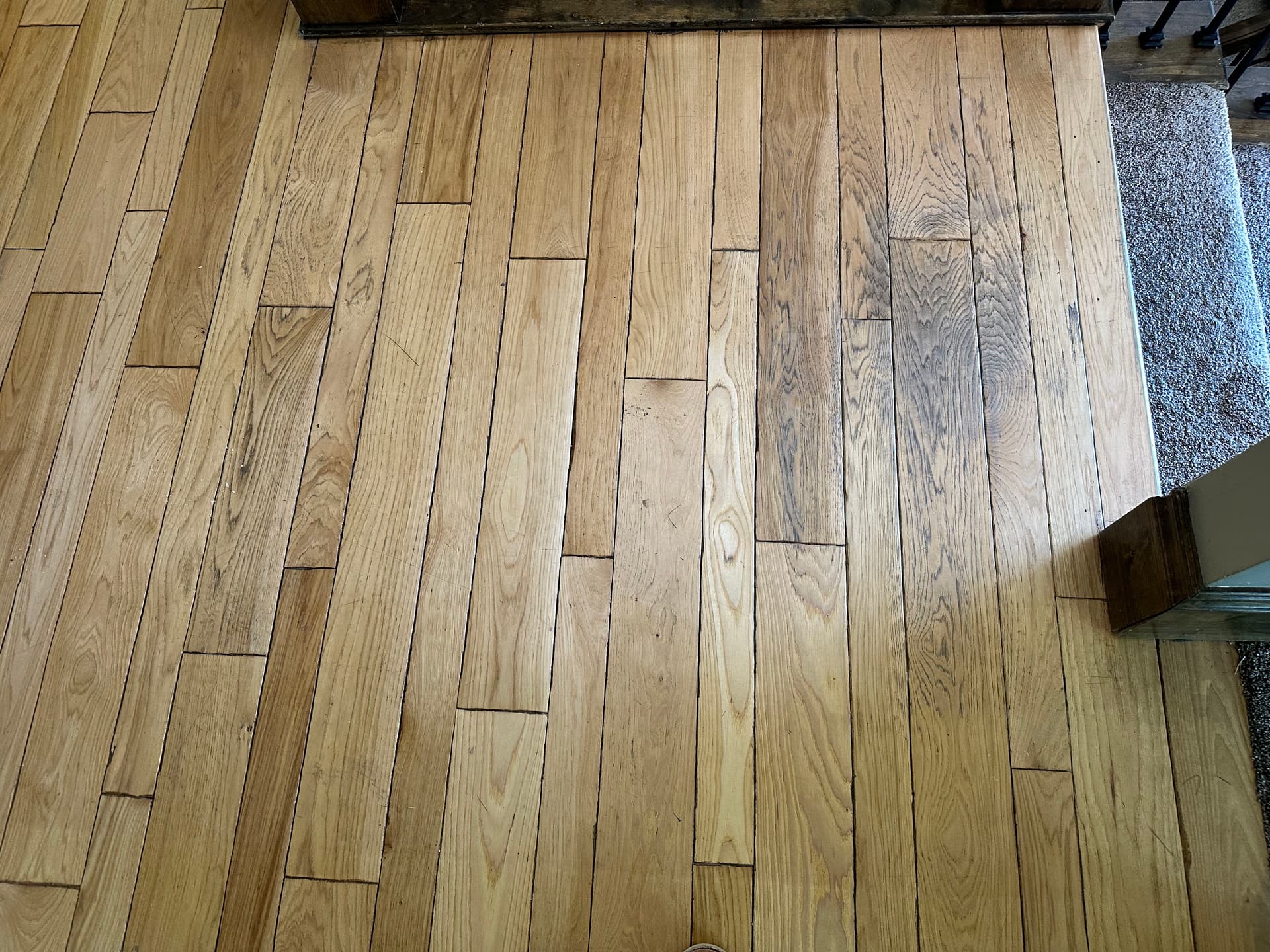 Full Hickory Hardwood Restoration on Bevel-Edge Floors in Pepper Wood image