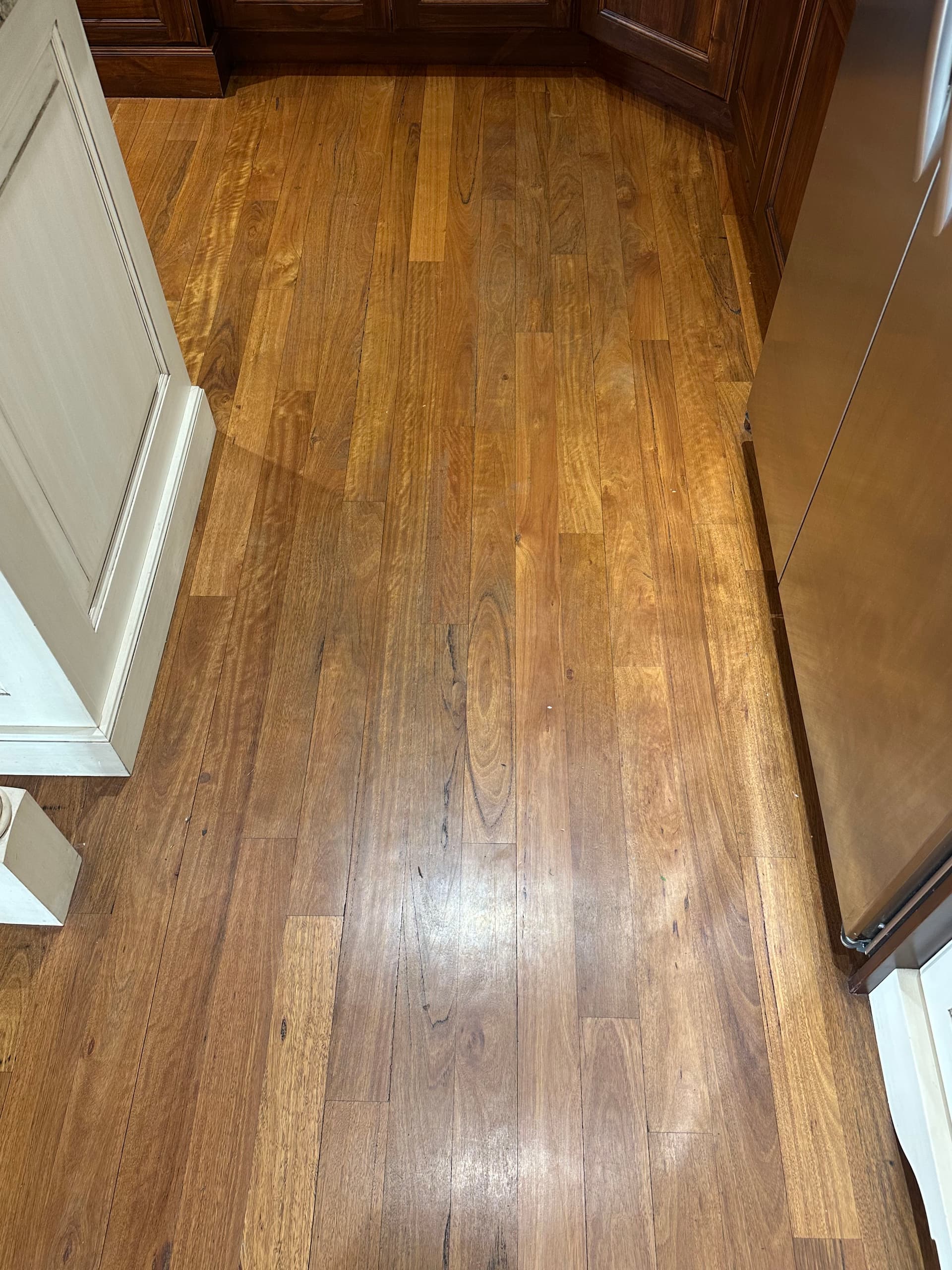 Gallery photos for Exotic Wood Floor Refinishing Underway in West Jordan: Image #4