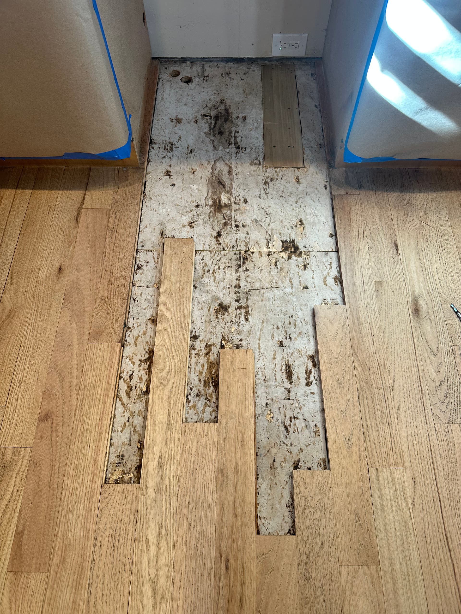 Hardwood Floor Water Damage Repair in Millcreek image