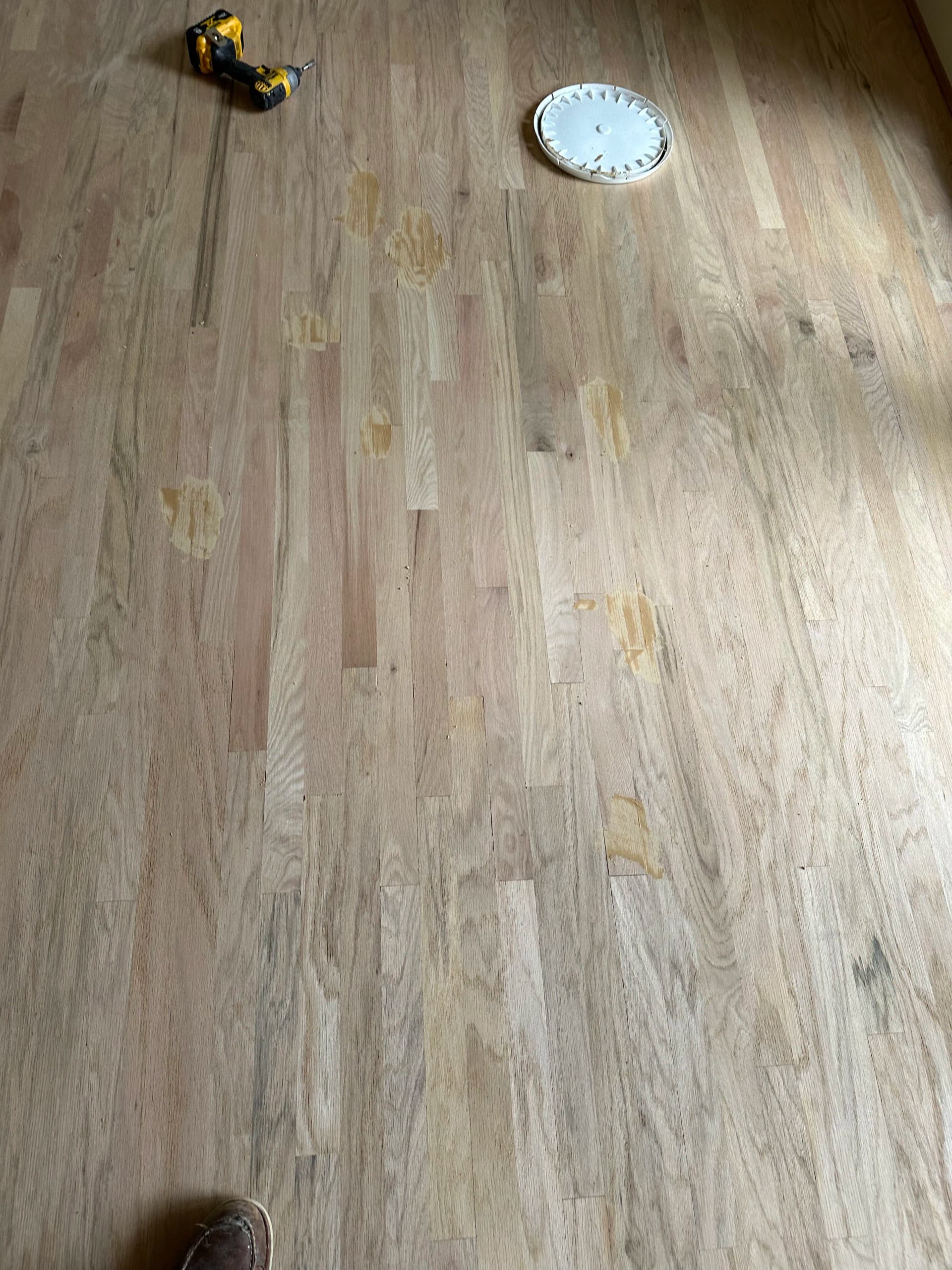 Gallery photos for Pet Stain Hardwood Repair and Refinish in Cottonwood Heights: Image #2