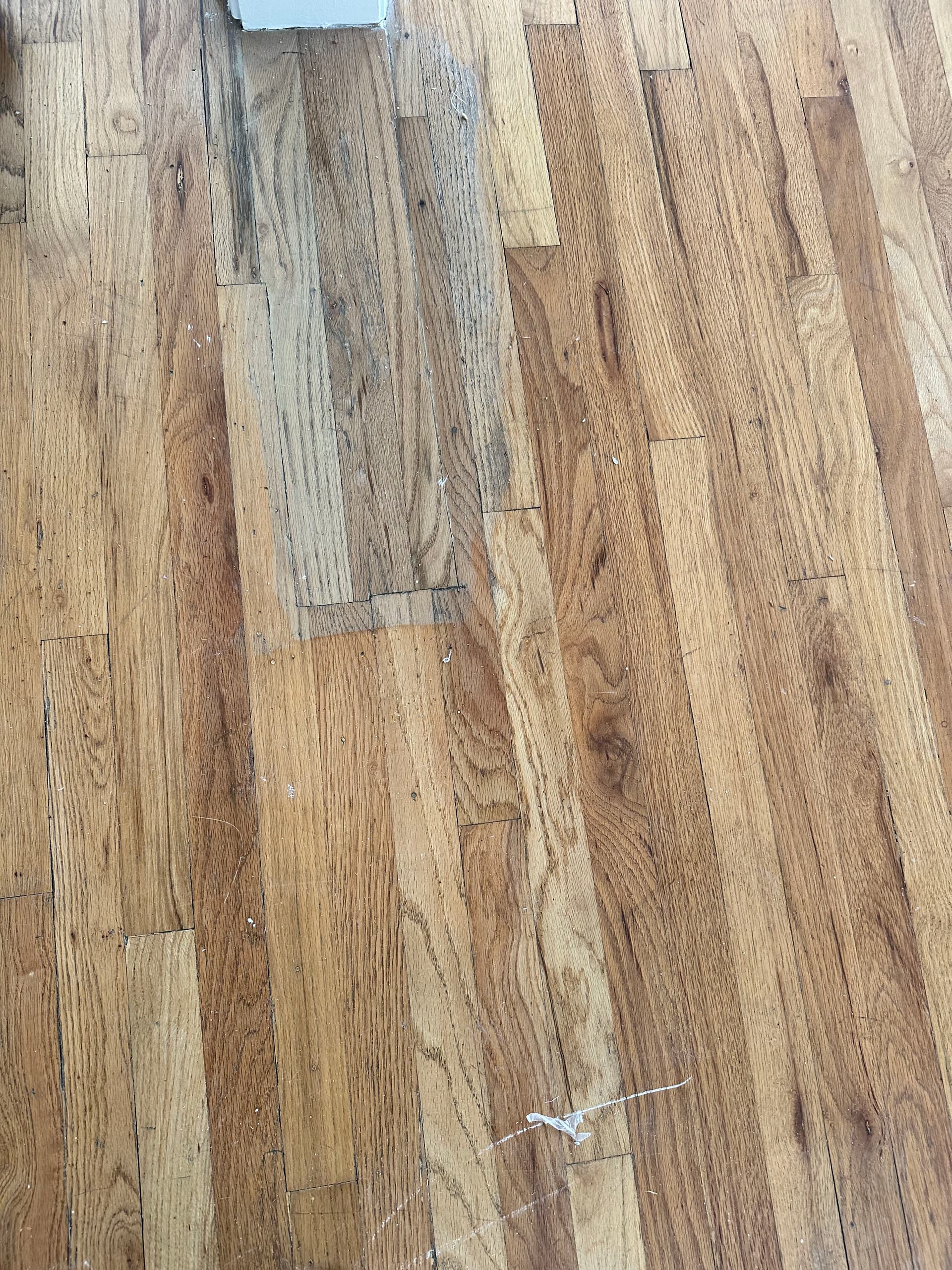 Gallery photos for Murray Hardwood Floor Restoration with Clear Satin Finish: Image #4