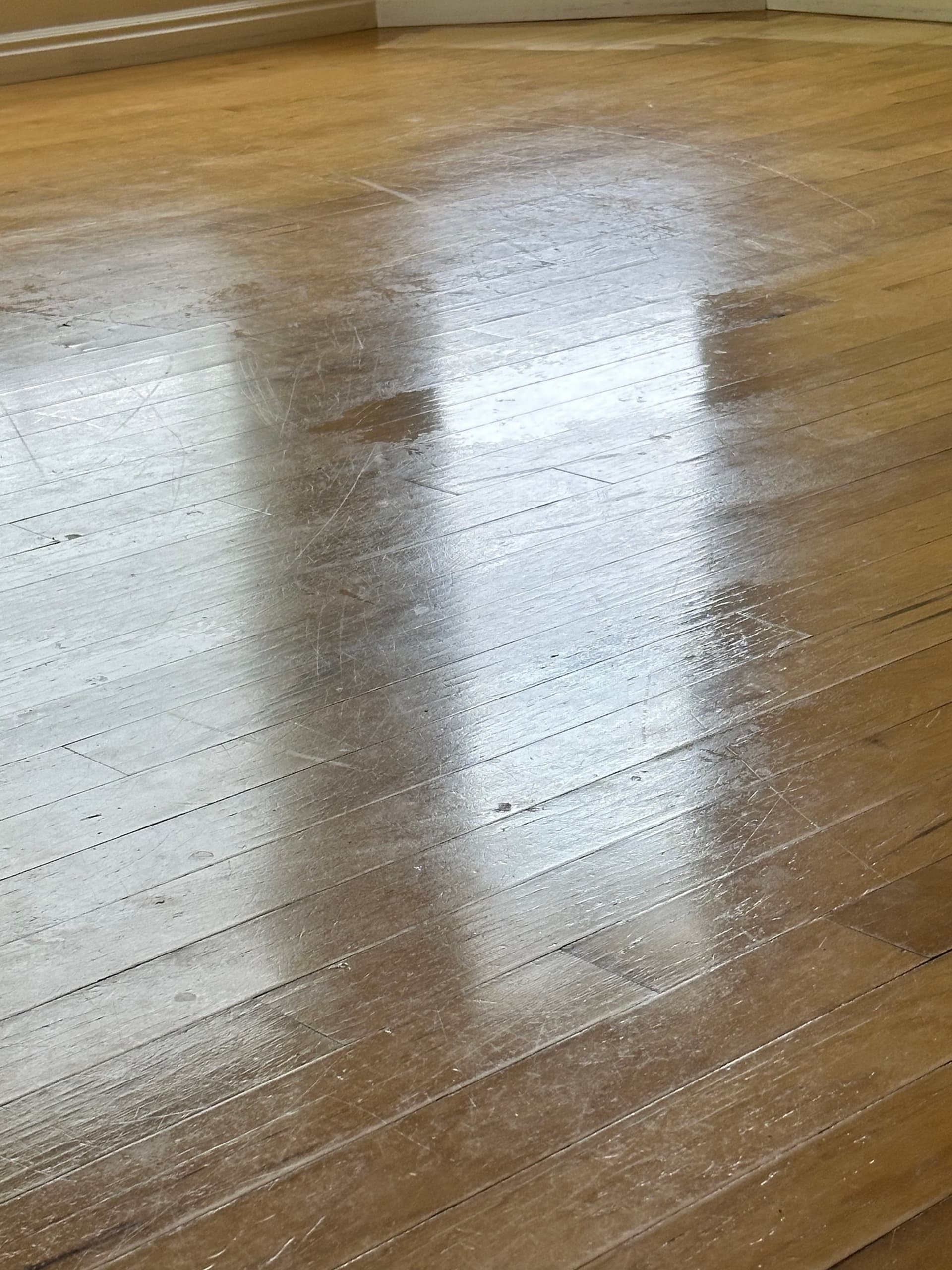 Gallery photos for Flaking Finish on Hickory Engineered Hardwood? Here's the Fix: Image #2