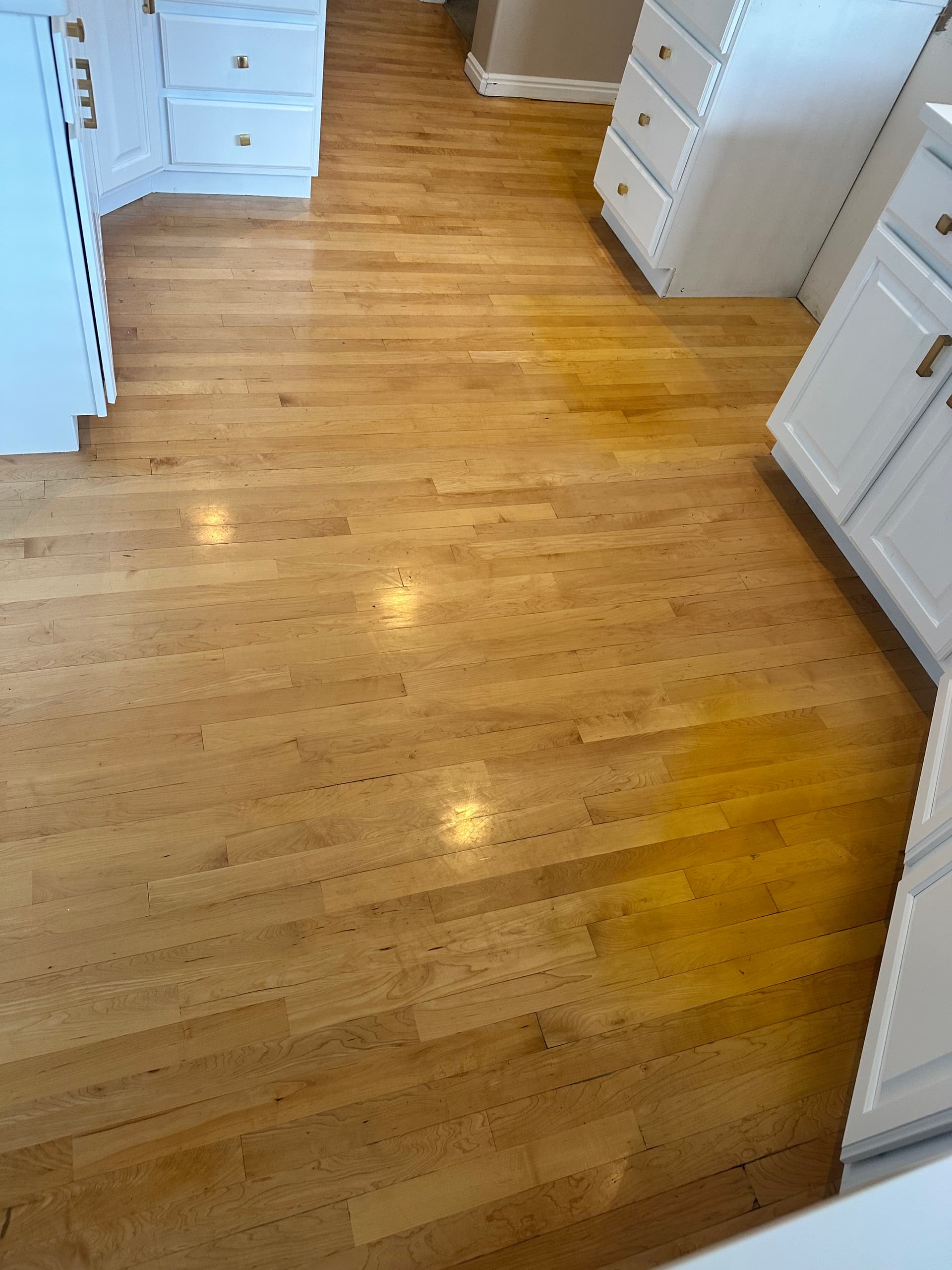 Gallery photos for Scratched and Stained Maple Floors Getting a Fresh Start: Image #1