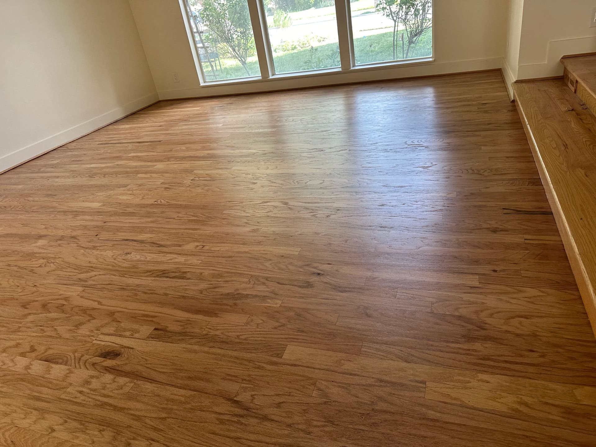 Pet Stain Hardwood Repair and Refinish in Cottonwood Heights image