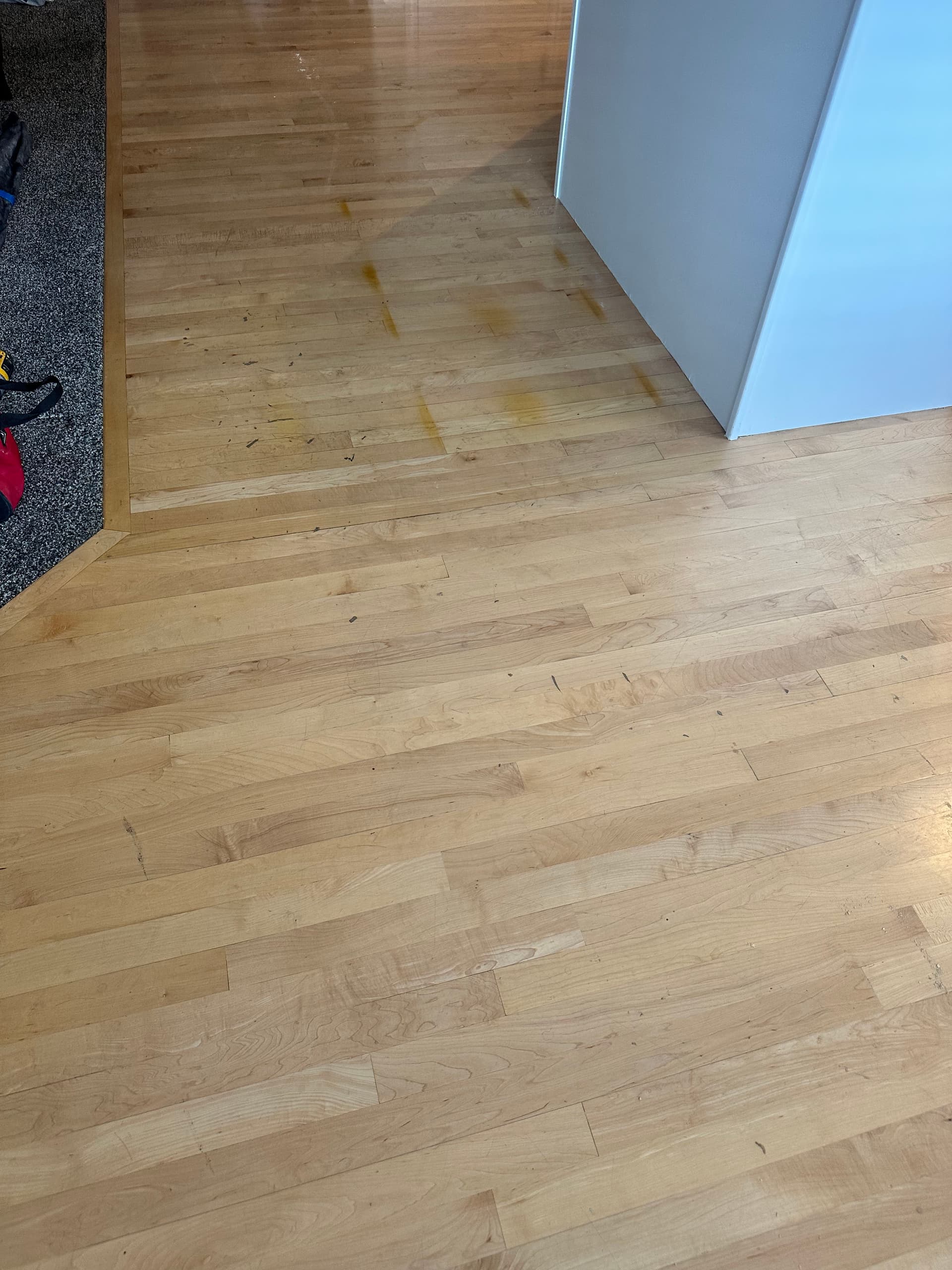 Gallery photos for Scratched and Stained Maple Floors Getting a Fresh Start: Image #2