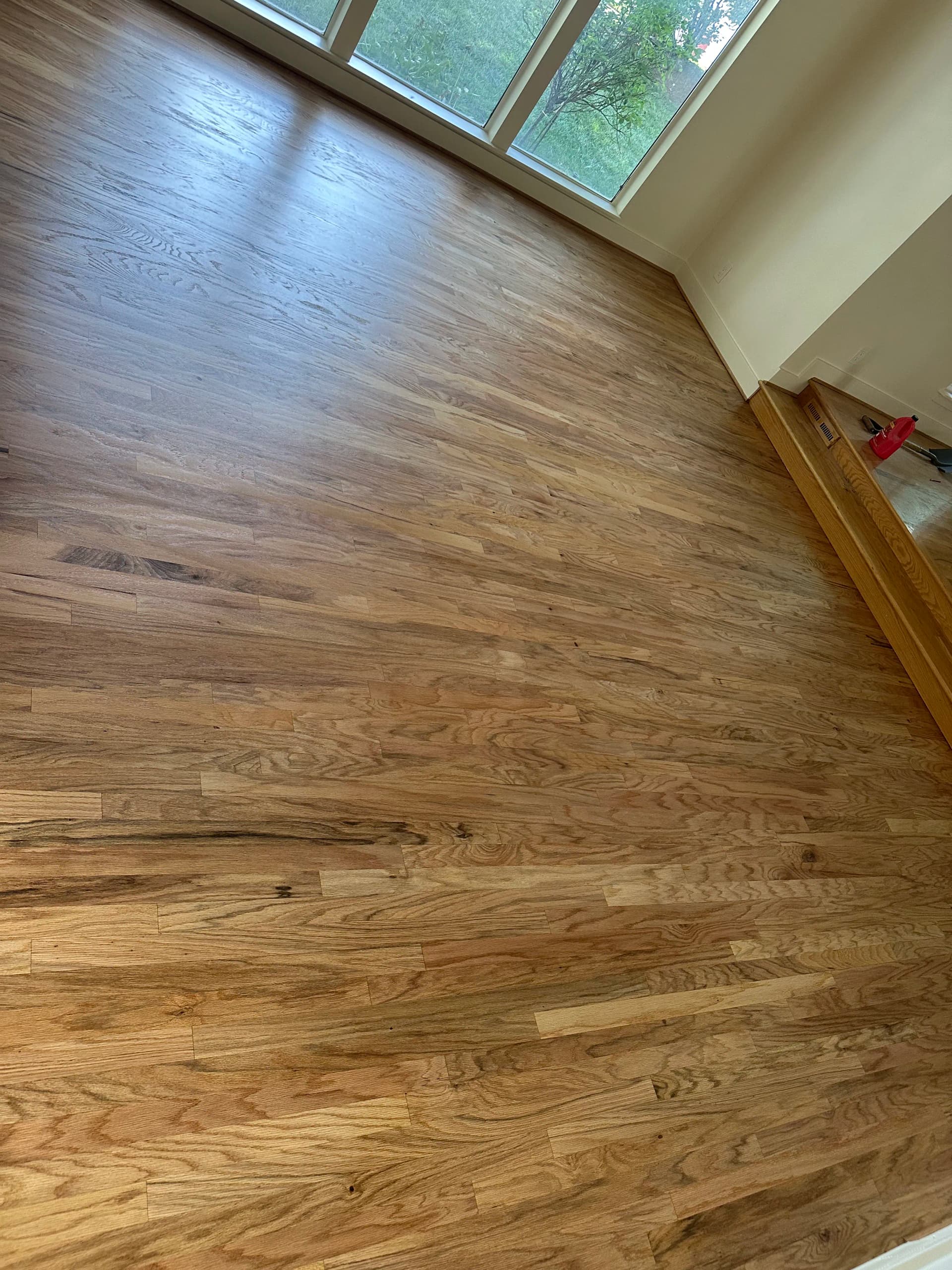 Gallery photos for Pet Stain Hardwood Repair and Refinish in Cottonwood Heights: Image #1
